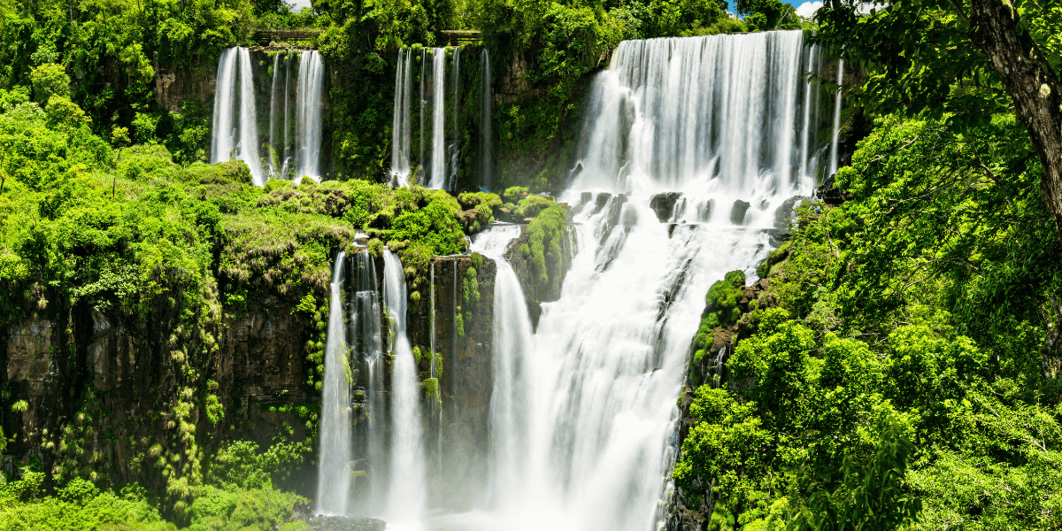 Scenic waterfall cascading through vibrant green trees in a pristine natural setting.