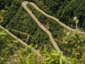Caminos serpenteantes en una zona montañosa con vegetación densa.