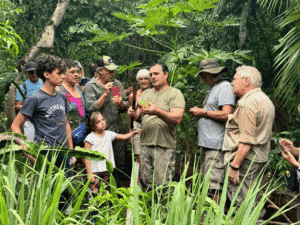 Grupo de personas en una excursión en la selva, disfrutando de la naturaleza y aprendiendo sobre el.