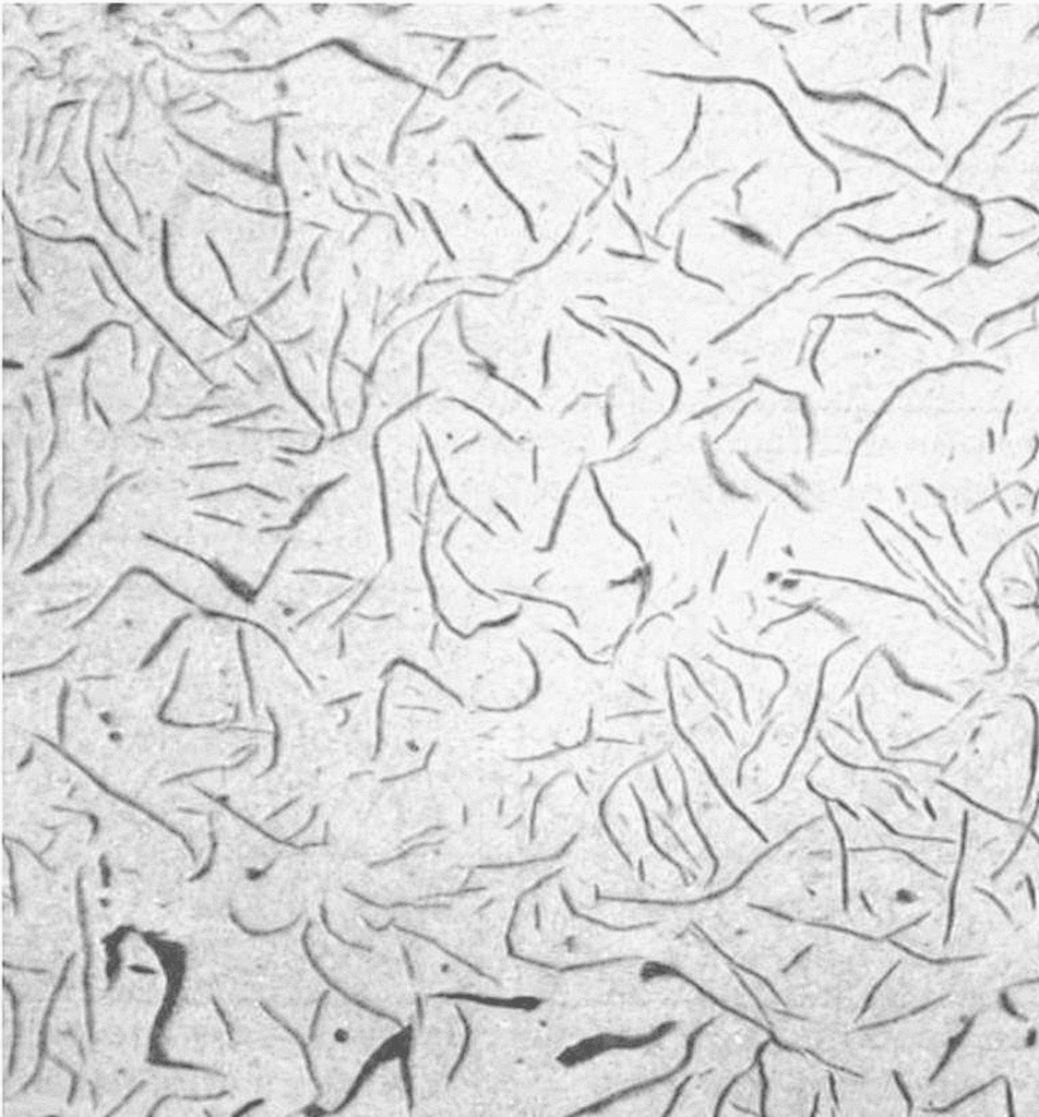 Metallographic comparison of gray cast iron flake graphite and ductile iron spheroidal graphite microstructure