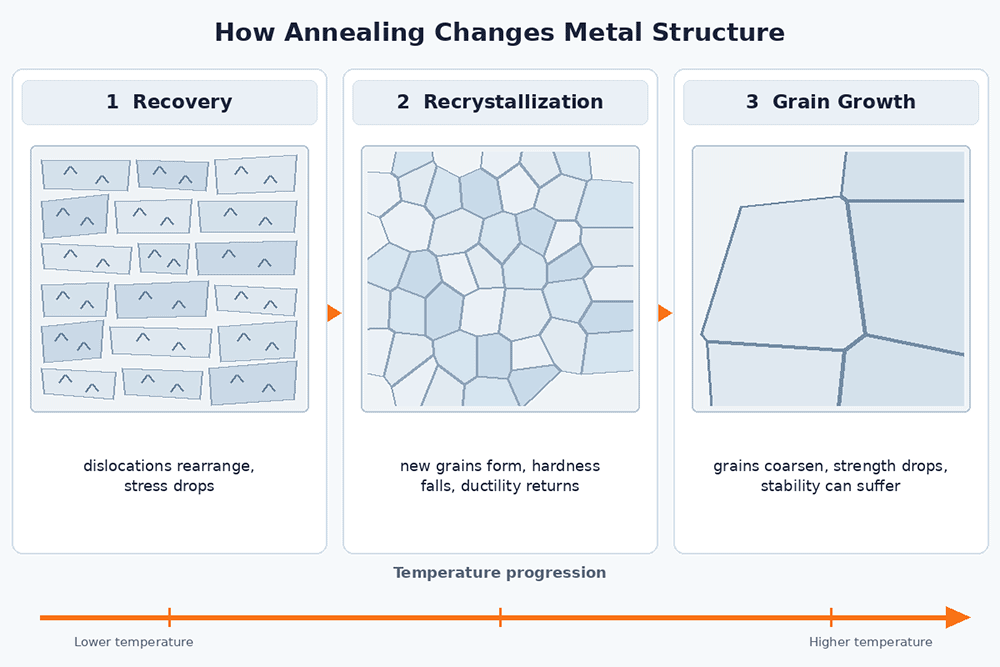 Annealing microstructure stages showing recovery, recrystallization, and grain growth