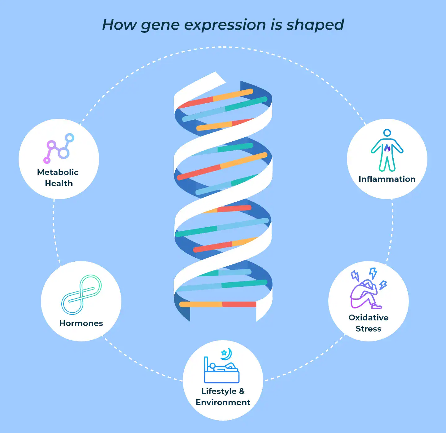 Your genes are not your destiny