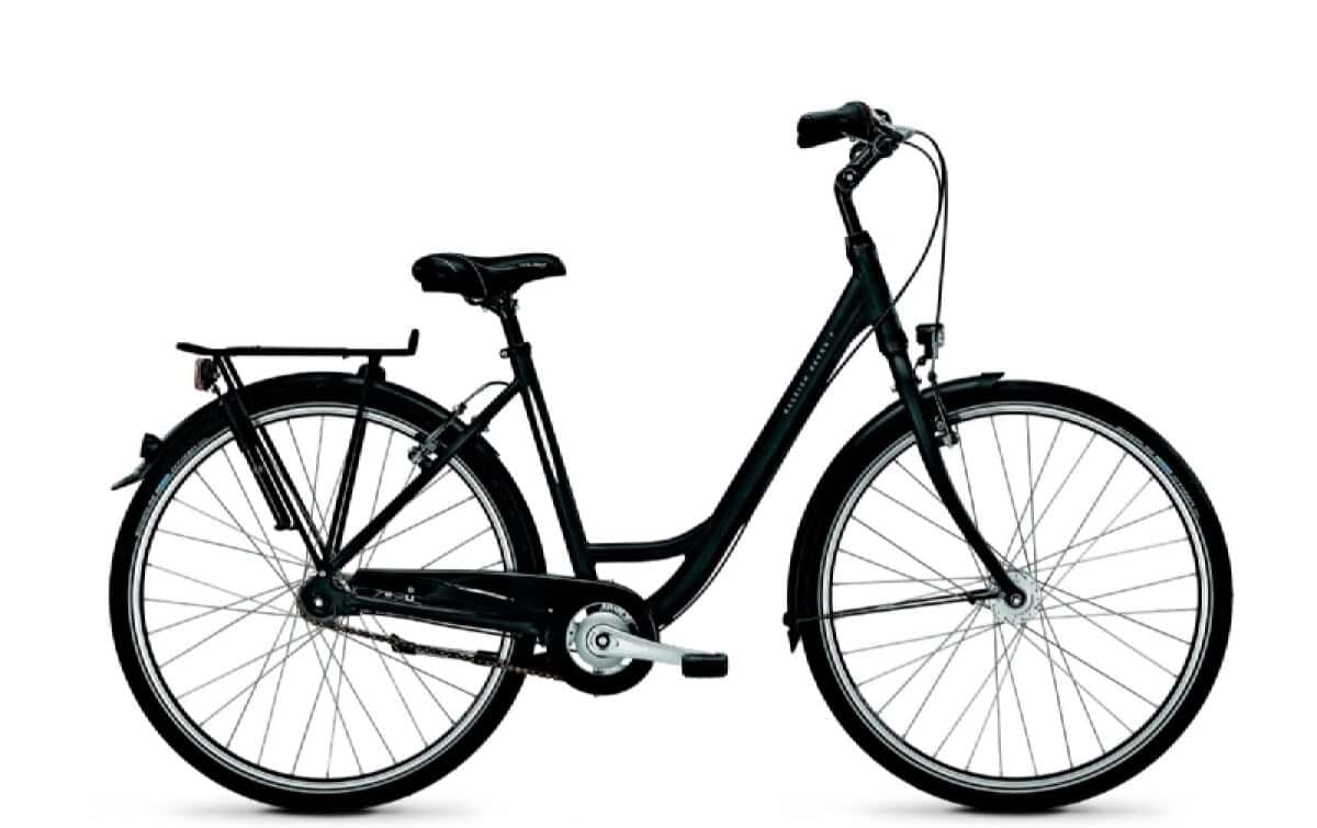 Modernes Damenfahrrad für Fahrradverleih in Münster.