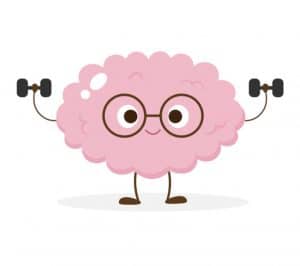 Brain