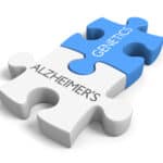 genetics and alzheimers