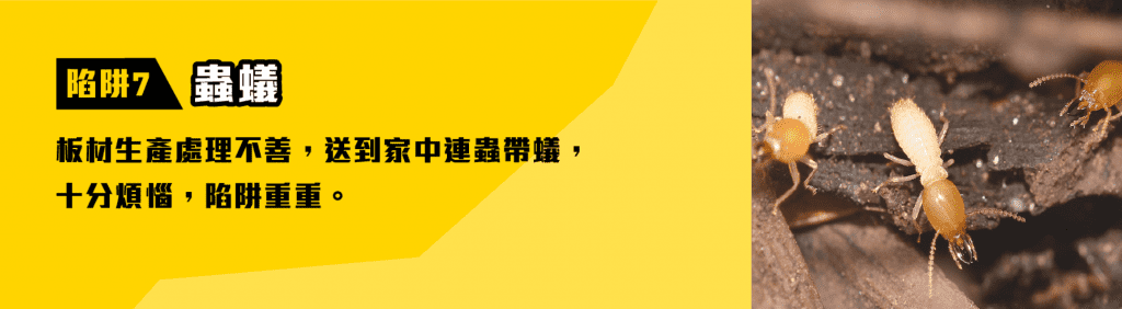 訂造傢俬 生態板材