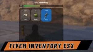 fivem inventory esx