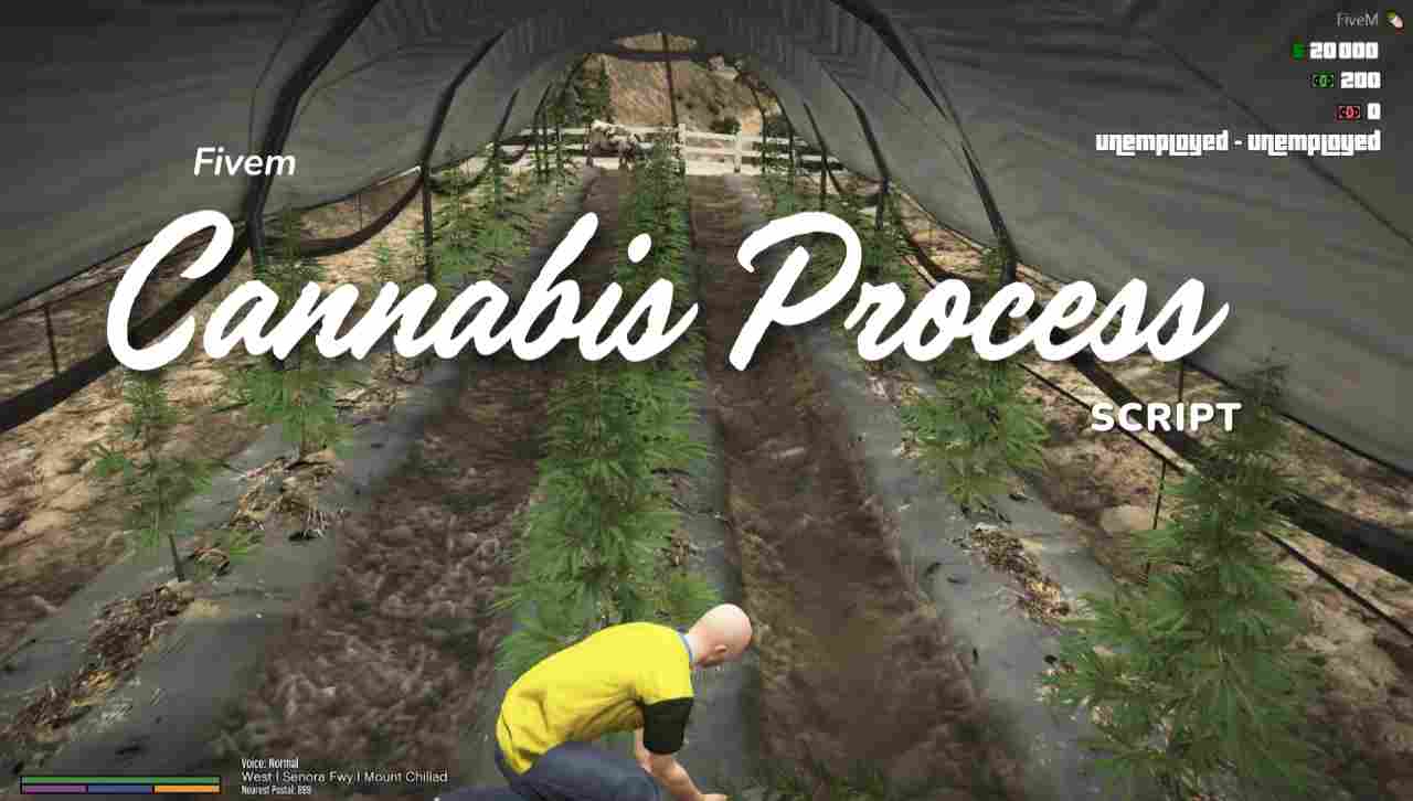 Fivem Cannabis Process Script - FiveM Store