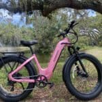 Puckipuppy Beagle 2 ST ebike
