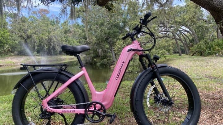 Puckipuppy Beagle 2 ST ebike