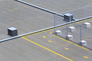 2021 év színe agria (14)