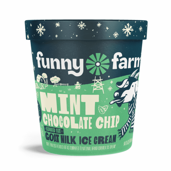 Mint Chocolate Chip