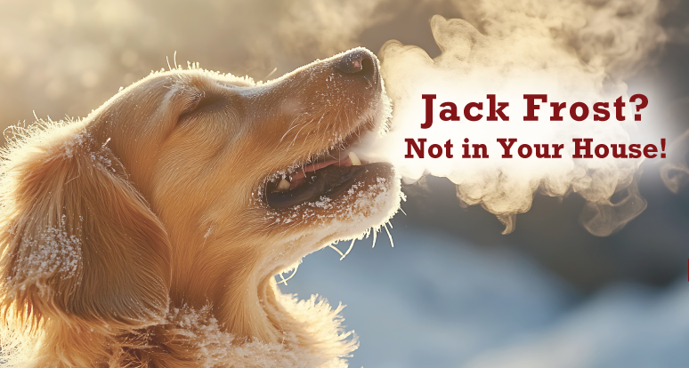 A golden retriever with snow on its fur breathes out visible vapor in cold air; text reads, "Jack Frost? Not in Your House!.