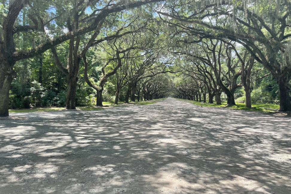 in-kind distribution