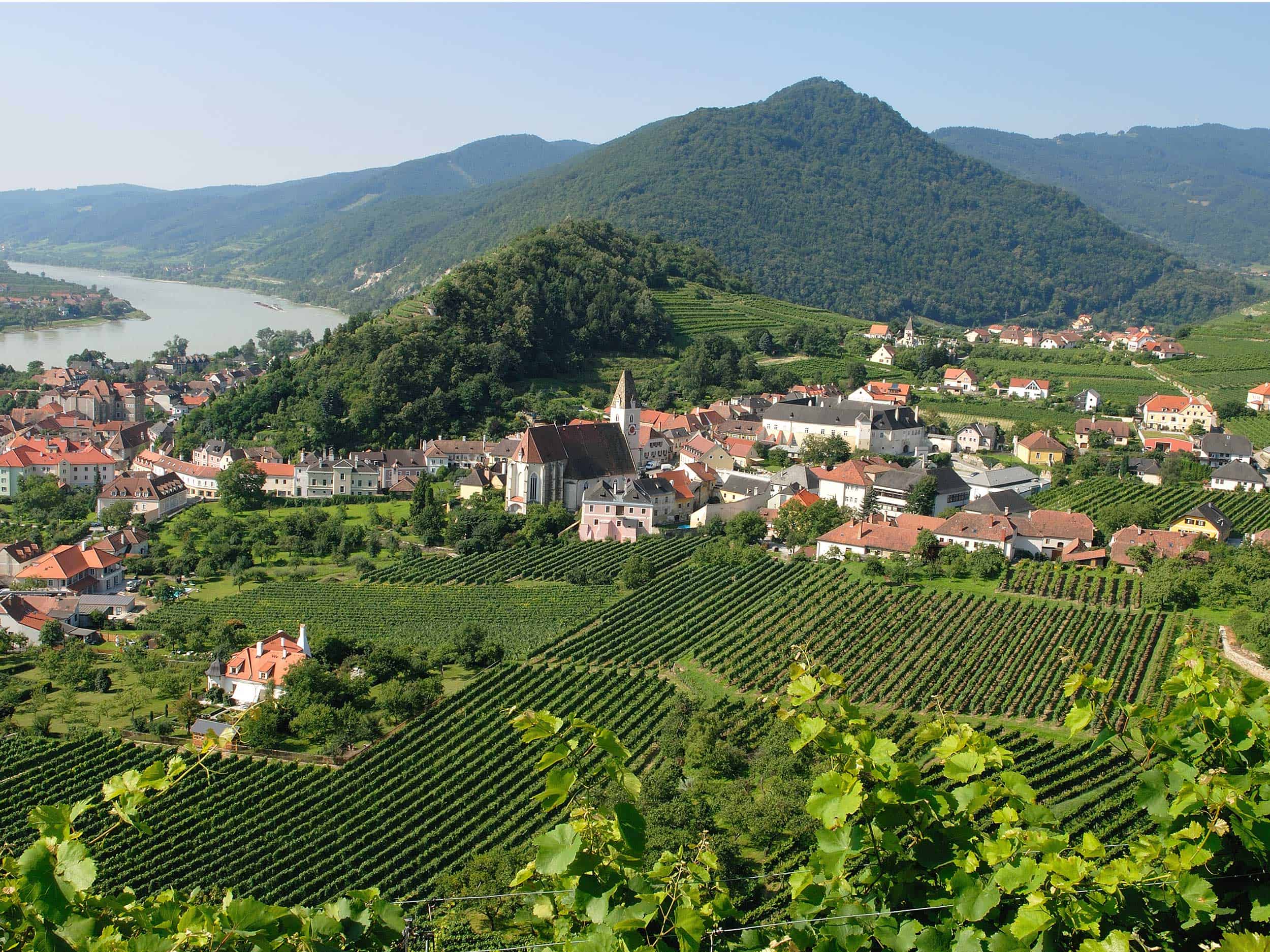 Axpoint Lage Weingut Gritsch
