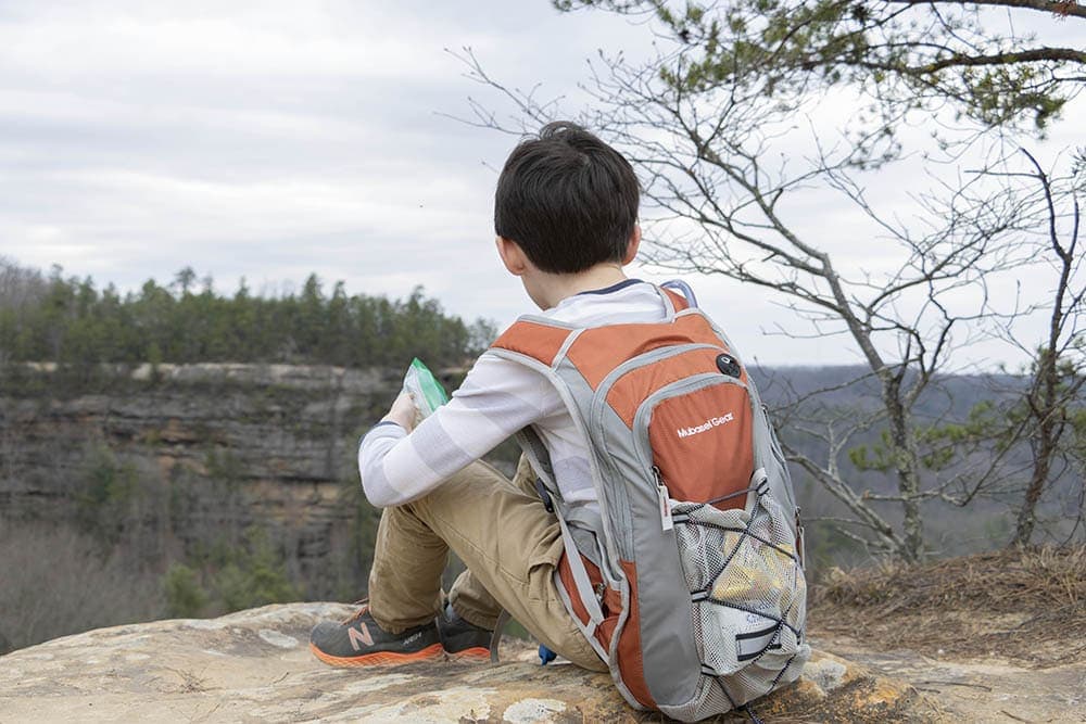 Natural Bridge State Resort Park – Ultimate Guide Natural Bridge State Resort Park – Ultimate Guide natural bridge kentucky view from the top
