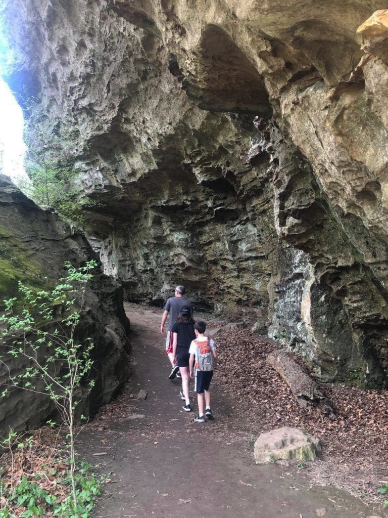 Shawnee Review: Top Things to Do in Shawnee National Forest Shawnee Review: Top Things to Do in Shawnee National Forest Giant City State Park Hiking