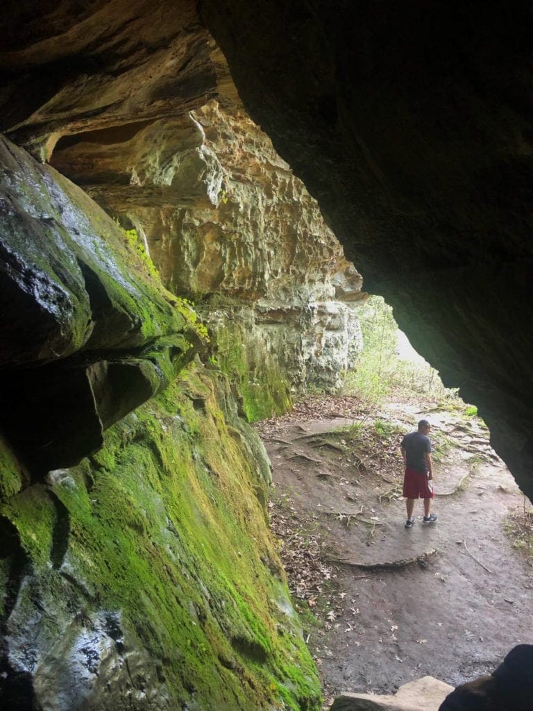 Shawnee Review: Top Things to Do in Shawnee National Forest Shawnee Review: Top Things to Do in Shawnee National Forest Giant City Trillium Trail