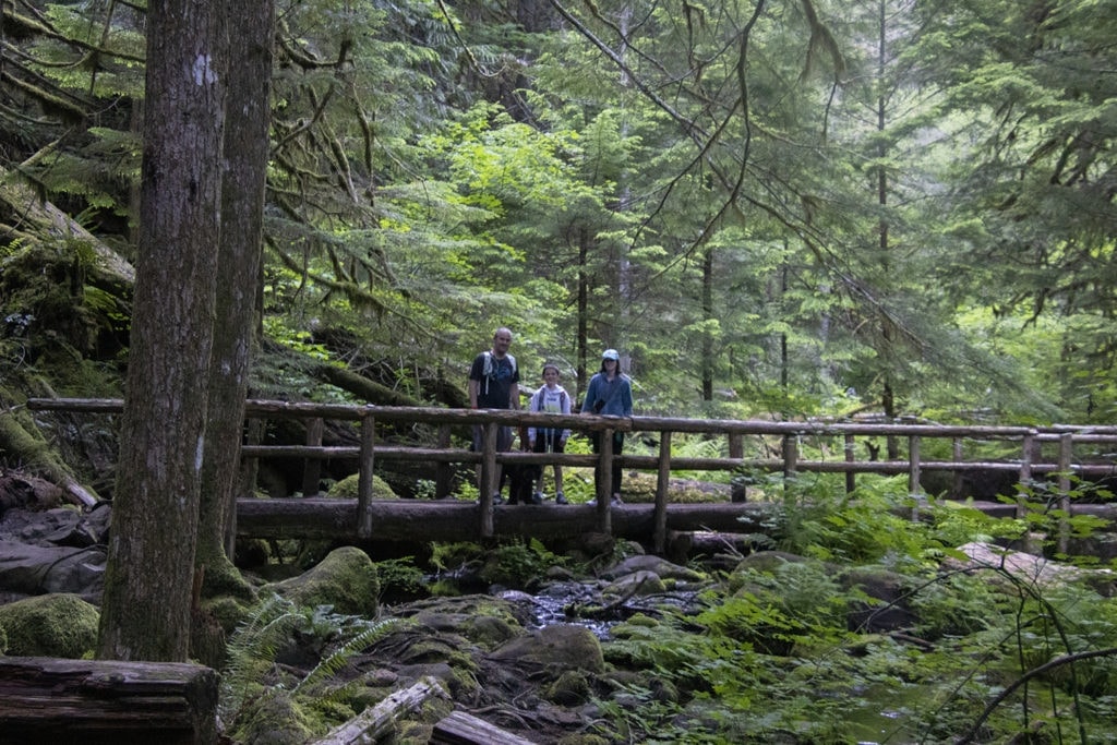17 Best Day Hikes in Oregon You Don’t Want to Miss (Dog & Family-Friendly) A glimpse of the hiking trail that takes you to Tamolitch Blue Pool