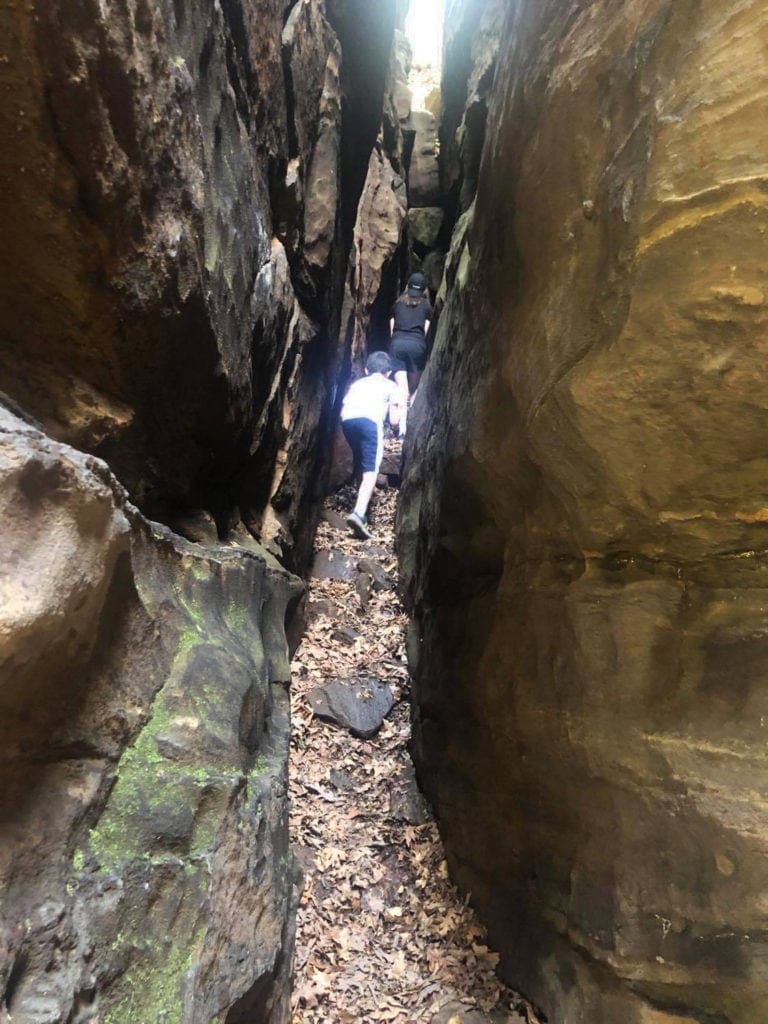 Shawnee Review: Top Things to Do in Shawnee National Forest Shawnee Review: Top Things to Do in Shawnee National Forest giant city state park southern illinois