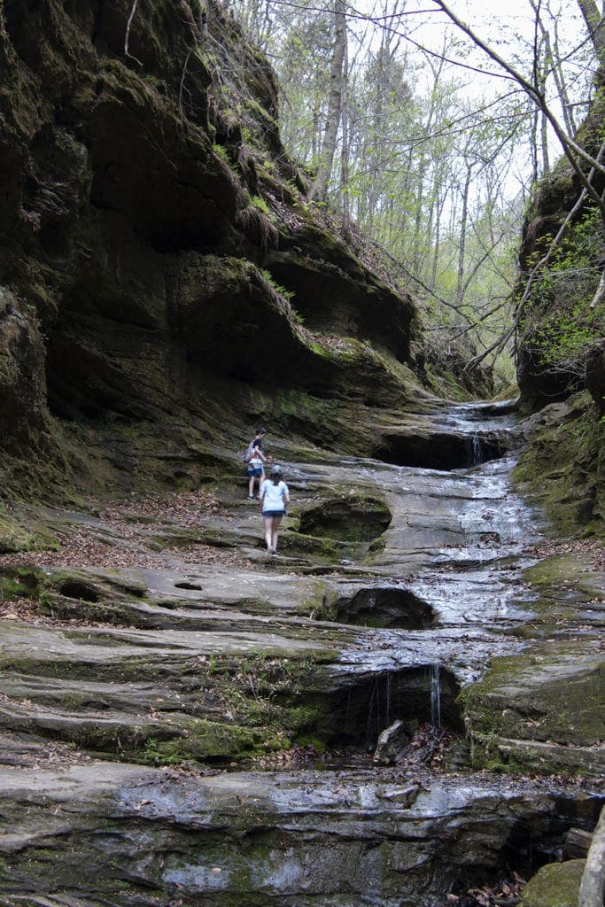 Shawnee Review: Top Things to Do in Shawnee National Forest Shawnee Review: Top Things to Do in Shawnee National Forest little grand canyon best hike