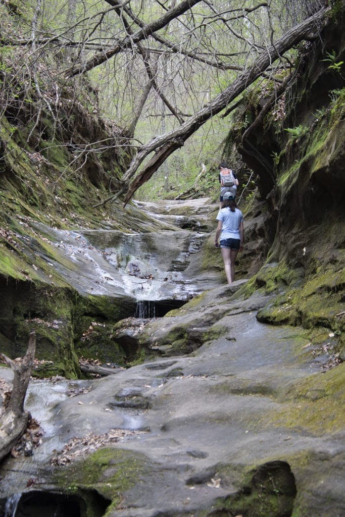 Shawnee Review: Top Things to Do in Shawnee National Forest Shawnee Review: Top Things to Do in Shawnee National Forest little grand canyon hike illinois