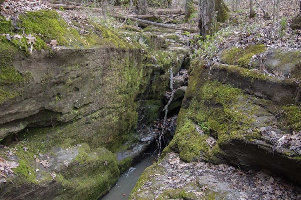 Shawnee Review: Top Things to Do in Shawnee National Forest Pomona Natural Bridge waterfall