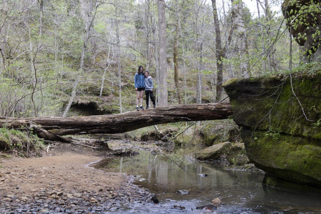 Shawnee Review: Top Things to Do in Shawnee National Forest Shawnee Review: Top Things to Do in Shawnee National Forest rim rock recreational trail hike illinois 1