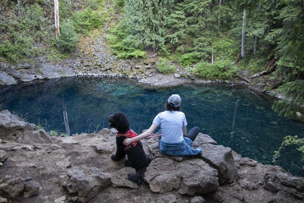 17 Best Day Hikes in Oregon You Don’t Want to Miss (Dog & Family-Friendly) A view of Tamolitch Blue Pool in Oregon. One of the best day hikes in Oregon.