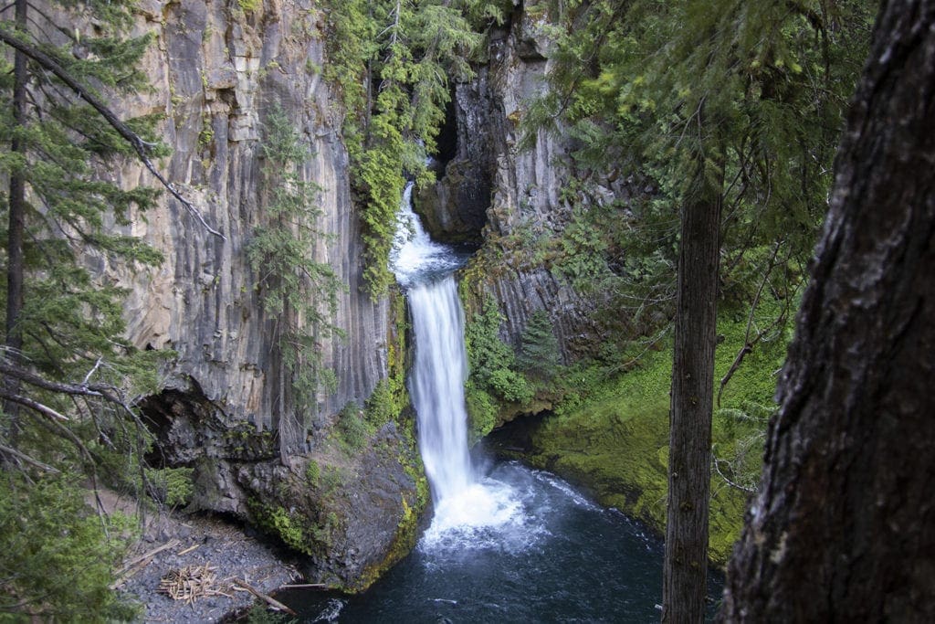 17 Best Day Hikes in Oregon You Don’t Want to Miss (Dog & Family-Friendly) The beautiful Toketee Falls in Oregon