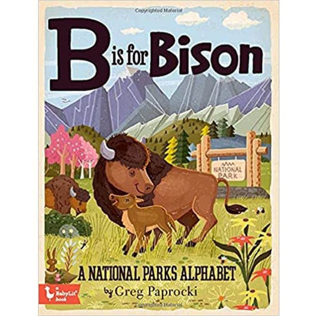 50+ Thoughtful Gifts for National Park Lovers 50+ Thoughtful Gifts for National Park Lovers b is for bison national park gift