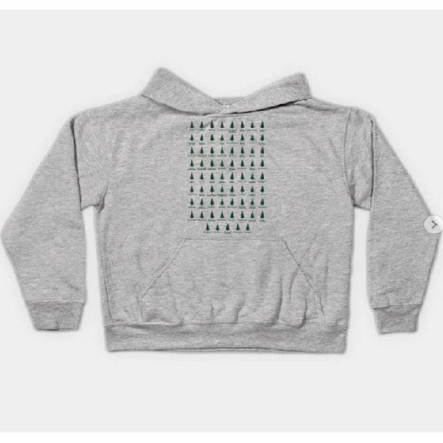 50+ Thoughtful Gifts for National Park Lovers 50+ Thoughtful Gifts for National Park Lovers kids national park hoodie