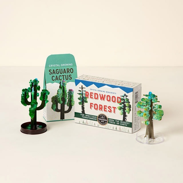 50+ Thoughtful Gifts for National Park Lovers 50+ Thoughtful Gifts for National Park Lovers national park crystal growing kit