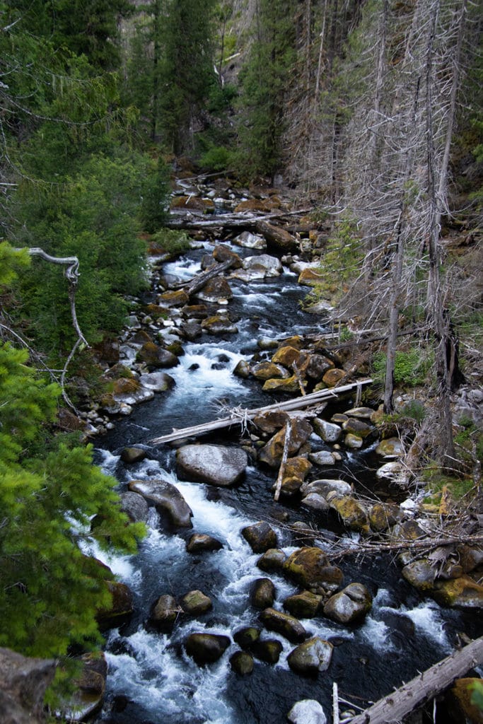 Hiking Oregon’s Tamolitch Blue Pool – The Ultimate Guide A view of the McKenzie River