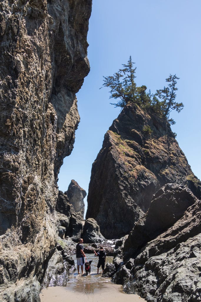 Secret Beach on the Oregon Coast – All You Need to Know Secret Beach on the Oregon Coast – All You Need to Know oregon coast road trip