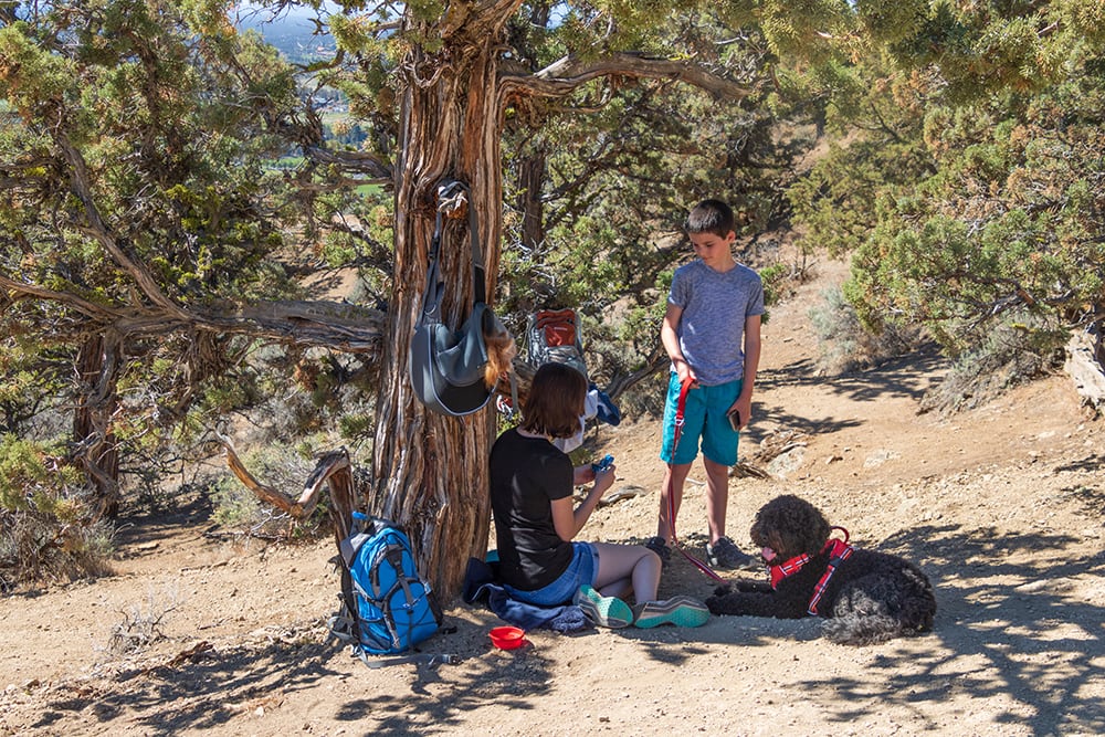 Smith Rock State Park Oregon – Ultimate Guide Trying to cool off at the top of misery ridge trail in Oregon.
