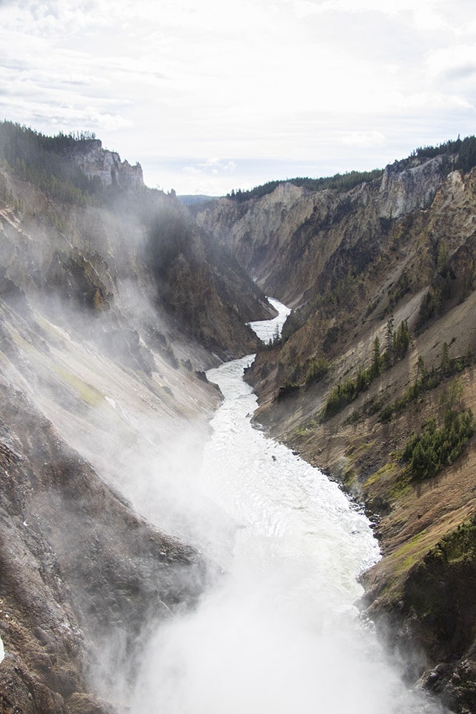20 Easy Hikes In Yellowstone National Park You Don’t Want to Miss A view of the canyon in Yellowstone