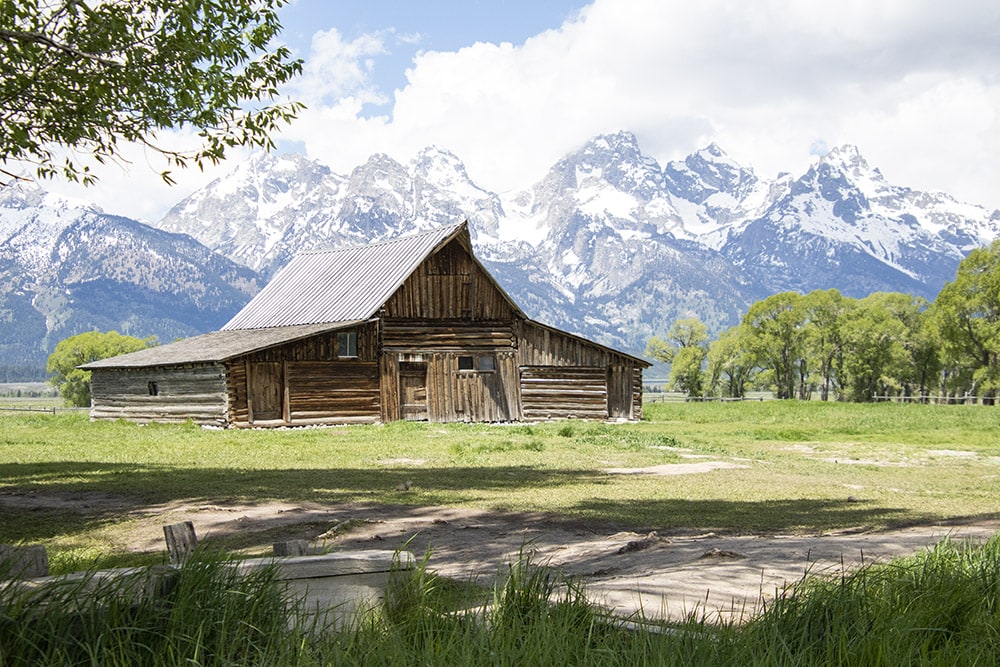 Top 10 Easy Hikes In Grand Teton National Park A picture of Mormon Row's Moulton Barn with the Grand Teton in the background.