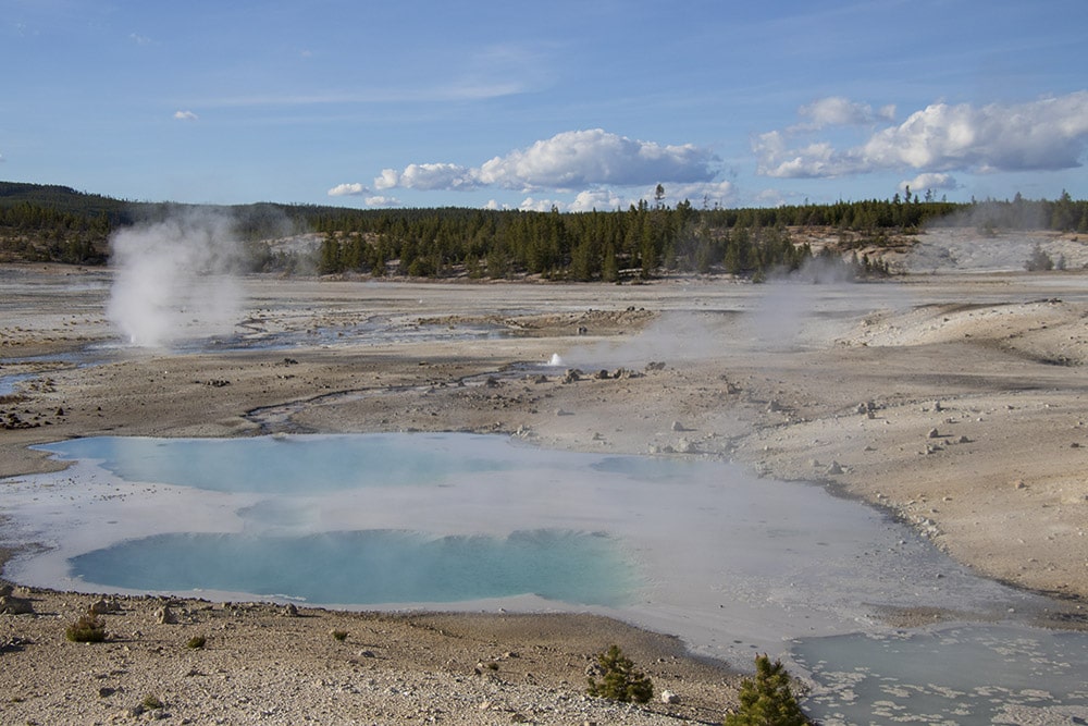 20 Easy Hikes In Yellowstone National Park You Don’t Want to Miss Norris Geyser Basin at Yellowstone National Park