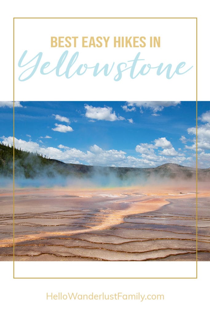 20 Easy Hikes In Yellowstone National Park You Don’t Want to Miss 20 Easy Hikes In Yellowstone National Park You Don’t Want to Miss yellowstone 2