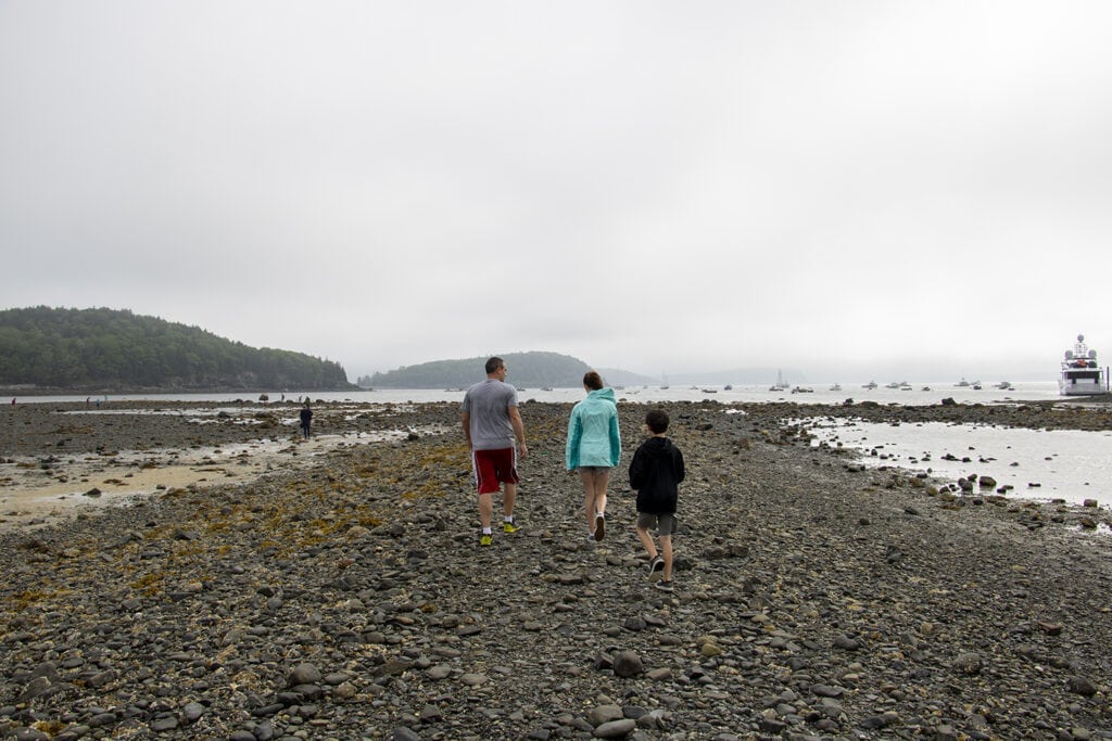 Best Hikes in Acadia National Park + Tips The gravel path of Bar Island Path in Acadia National Park at low tide.