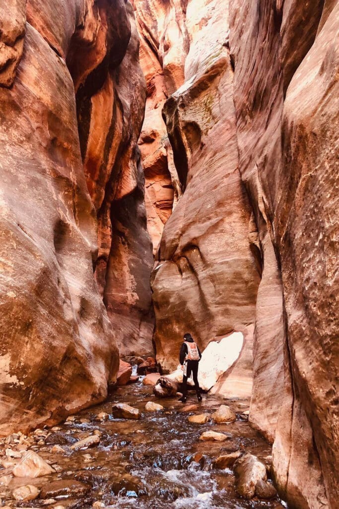 Kanarra Falls: Hike Utah’s Best Slot Canyon A person walking wearing a hydration backpack is walking through the shallow water in Kanarra Falls slot canyon. The narrow slot canyon has red, towering walls with a stream that winds through it.