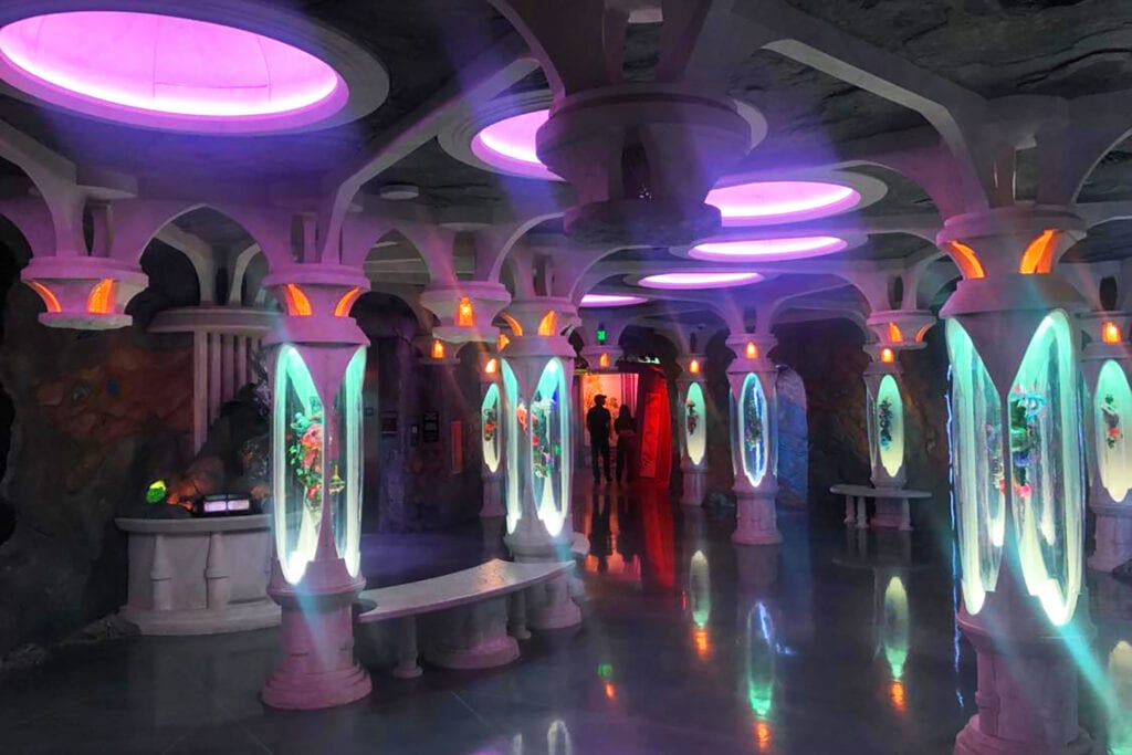 Meow Wolf Denver: The Ultimate Experience Guide for All Ages A room full of lit-up glass pillars that feature weird stuff inside the pillars.