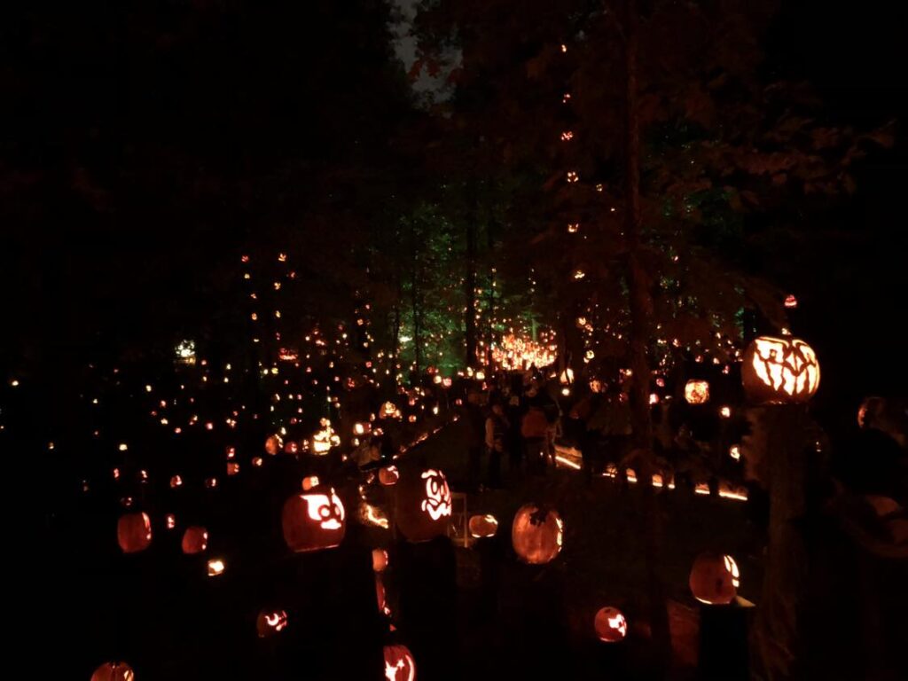 Your Guide to The Louisville Jack O’ Lantern Spectacular Enchanted pumpkin trail in Louisville, KY.