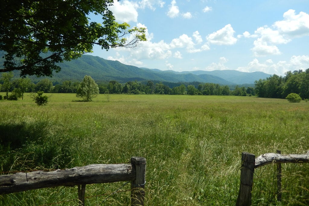 Discover the Funnest National Parks for Kids Scenic view of Cades Cove in Great Smoky Mountains National Park. The image captures a wooden fence leading towards tall grass with majestic mountains in the background. The serene landscape showcases the park's natural beauty, tranquility, and rich biodiversity.