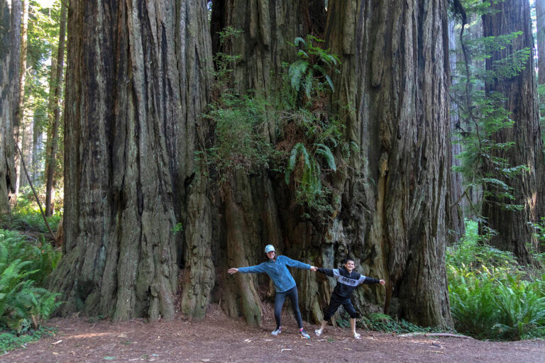 Discover the Funnest National Parks for Kids