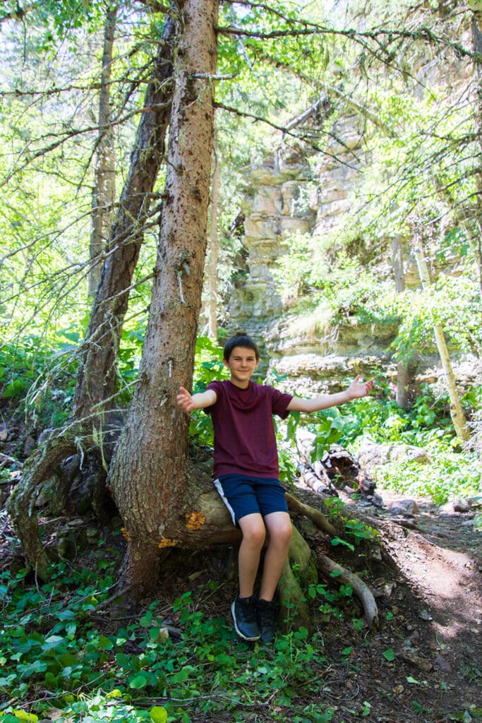 Your Ultimate Guide To Hiking Devil’s Bathtub SD Kid resting on tree roots shaped perfectly like a chair during the hike to devil's bathtub in south dakota.