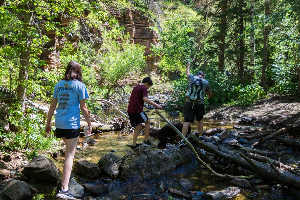 Your Ultimate Guide To Hiking Devil’s Bathtub SD Family and dog crossing the creek at Devil's Bathtub trail, carefully balancing on large rocks, creating a memorable and adventurous water crossing experience in Spearfish Canyon, South Dakota.