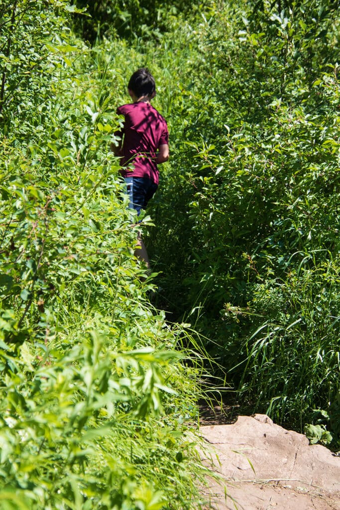 Your Ultimate Guide To Hiking Devil’s Bathtub SD Child exploring Devil's Bathtub trail, navigating the narrow path amidst lush greenery, tall grass, and vibrant plant life in Spearfish Canyon, South Dakota.