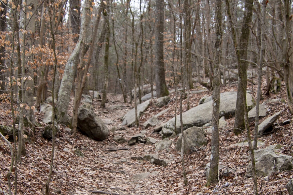 Bethel Spring Falls Alabama – Your Complete Hiking Guide The picturesque scenery along Carpenter Trail at Bethel Spring Nature Preserve.